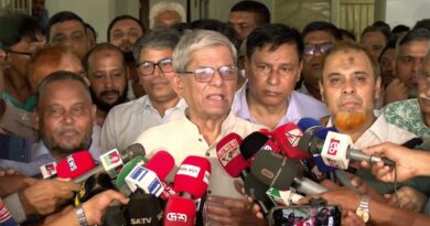 আগামী বছরের শুরুতে স্থানীয় সরকার নির্বাচন: মির্জা ফখরুল